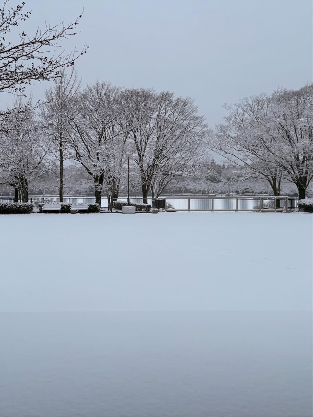 2026/2/7 4年 トレーニング
